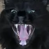 scarght