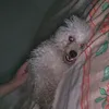 bbbruno03