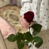 retagramadan06