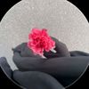 user573827917630