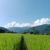 usha..lamsong