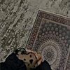 fardawsaqueen120