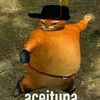 luziminy