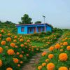 rituchamlingrai7