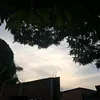 raysilva_57