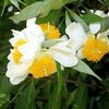 phyuhnin6189