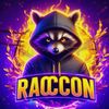 raccoon_044