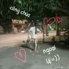 ng_an_410