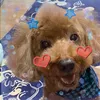 yuchan_s17