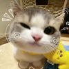 user2038166147023