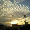 user82070480105085
