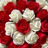 user2223861296018