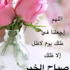 amal24493