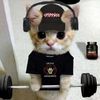 fxuzan_h4di