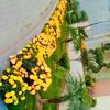 yousaf_kamran