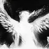 user7822094009740