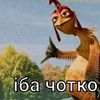 user6835792096265