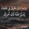 user3745371681833