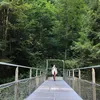 giorgiag95