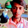 nawabking272