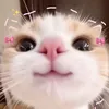 urmimiyah