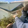 blu3bvrrie_1613