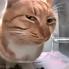 norma_380