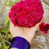 fatema.jannat5014