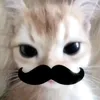 nini_bts337