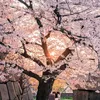 minh.trit461