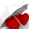 user8781728633102