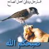 user9966147957461
