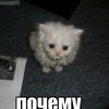 kirammmmm2