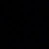 relam_509