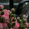 renas12345_