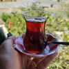 sahsenem99