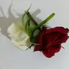 amal.amine06
