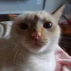 oli_200216
