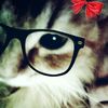 roosebp_..q