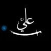 noor.ali4073