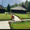 mihajlomilanovic62