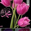 usernamem419