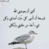user4400127204122poba