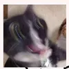 brooketandy