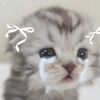 hayase_nagatoro7