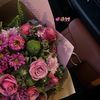 alaa_m735