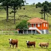 Vida rural 🏕