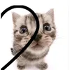 charlie0_fc