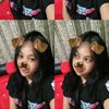 yayaastecuu_5