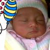 maritza.sarcos